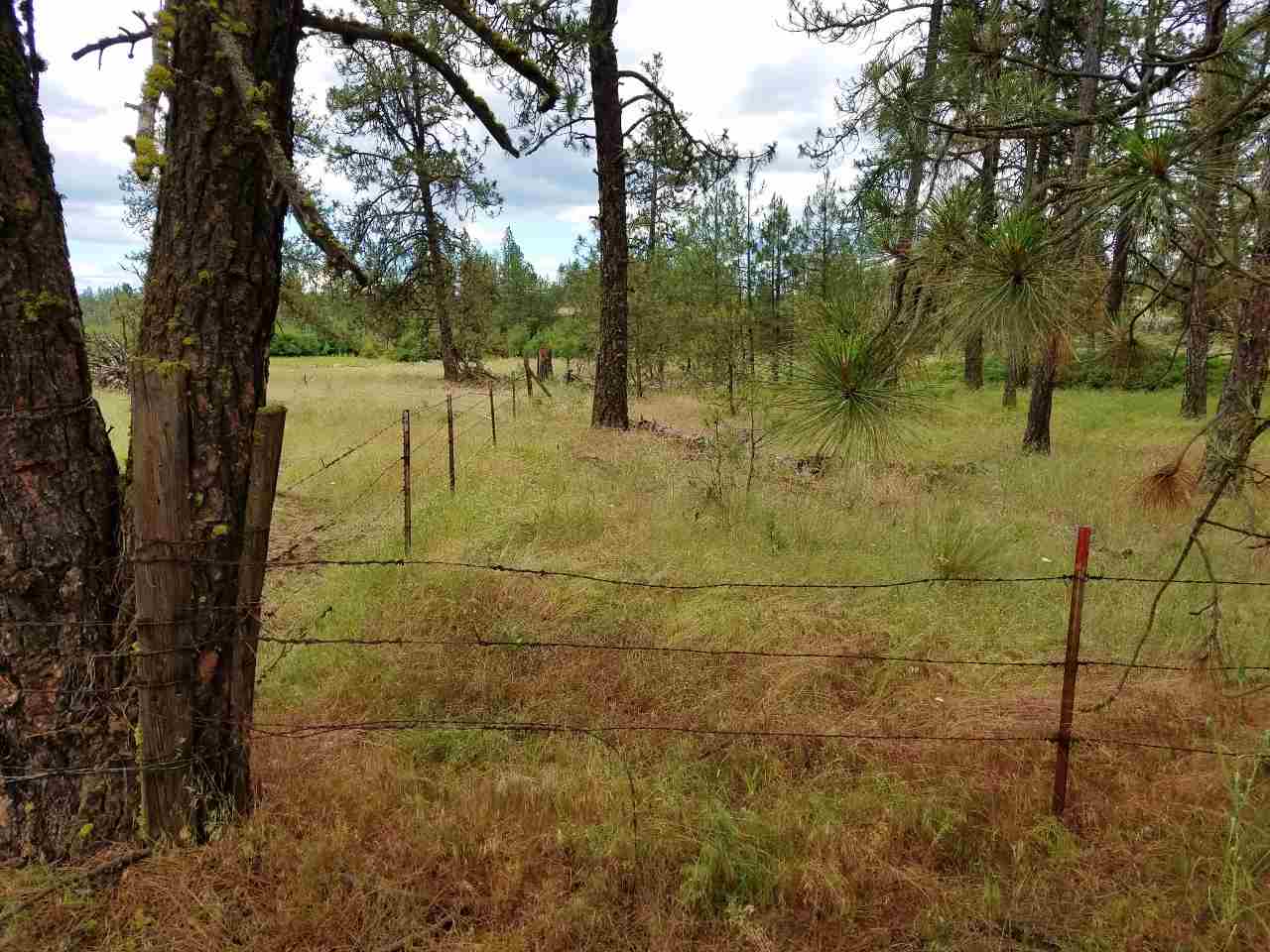 25000 South Phillips Road Cheney, WA 99004 - Photo 2 of 7