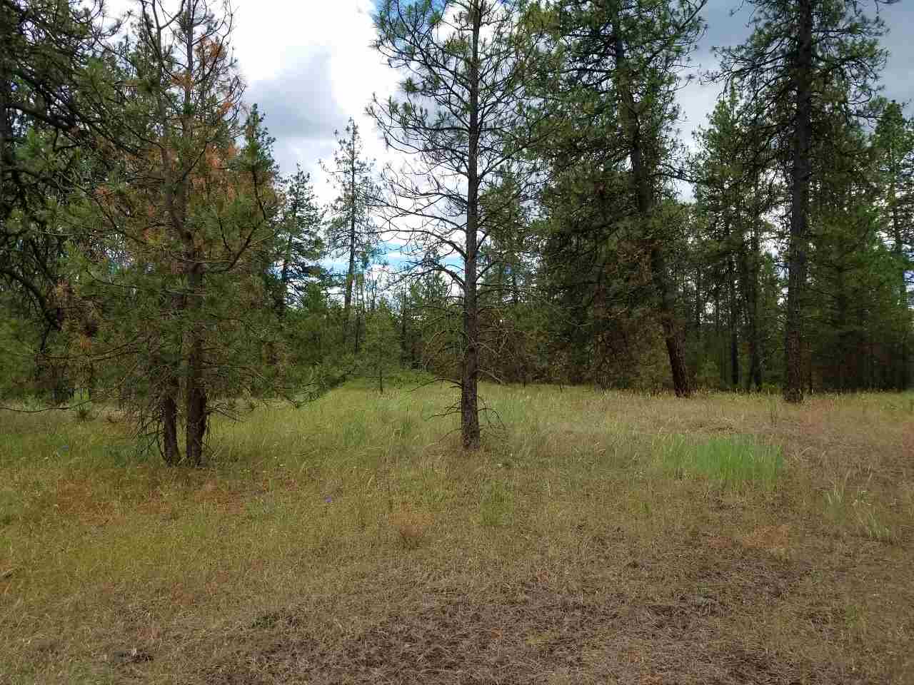 25000 South Phillips Road Cheney, WA 99004 - Photo 3 of 7