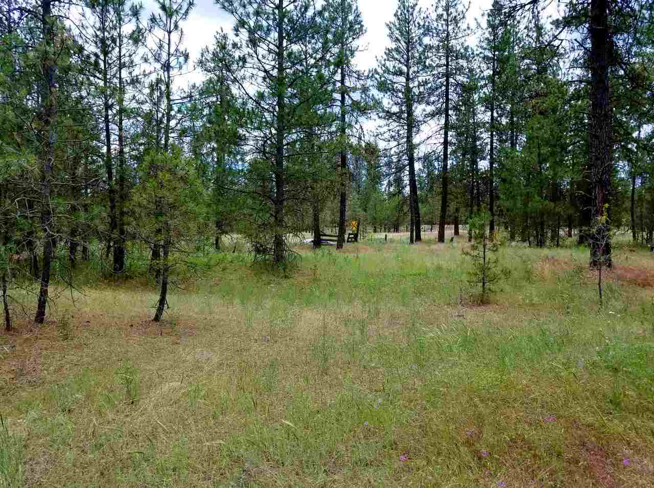 25000 South Phillips Road Cheney, WA 99004 - Photo 6 of 7