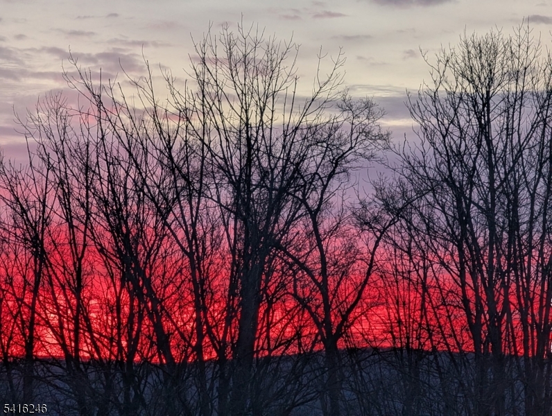156 Lott Road Wantage, NJ 07461 - Photo 37 of 44 a backyard of a house with trees