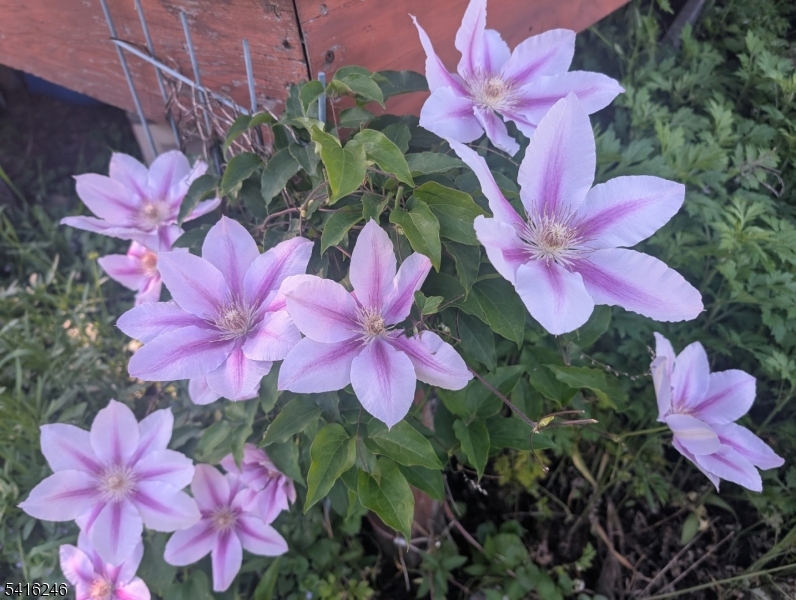 156 Lott Road Wantage, NJ 07461 - Photo 39 of 44