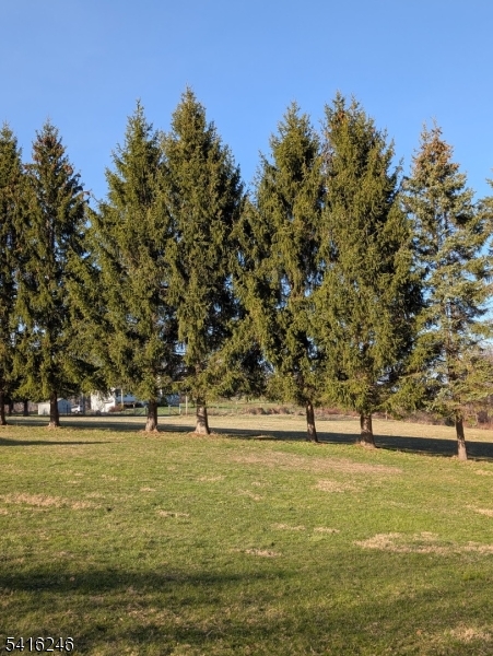 156 Lott Road Wantage, NJ 07461 - Photo 40 of 44