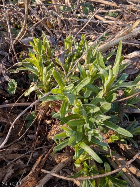 156 Lott Road Wantage, NJ 07461 - Photo 41 of 44