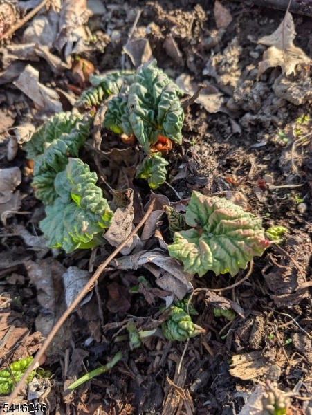 156 Lott Road Wantage, NJ 07461 - Photo 42 of 44