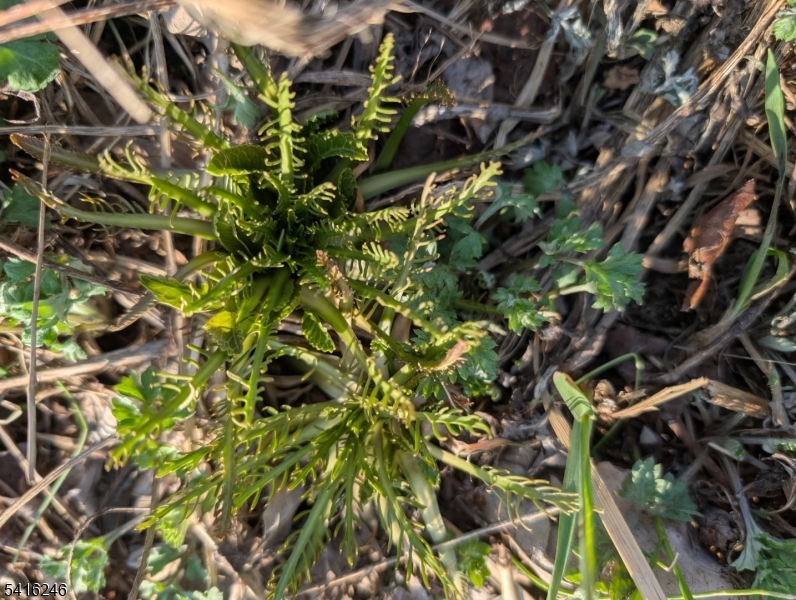 156 Lott Road Wantage, NJ 07461 - Photo 43 of 44