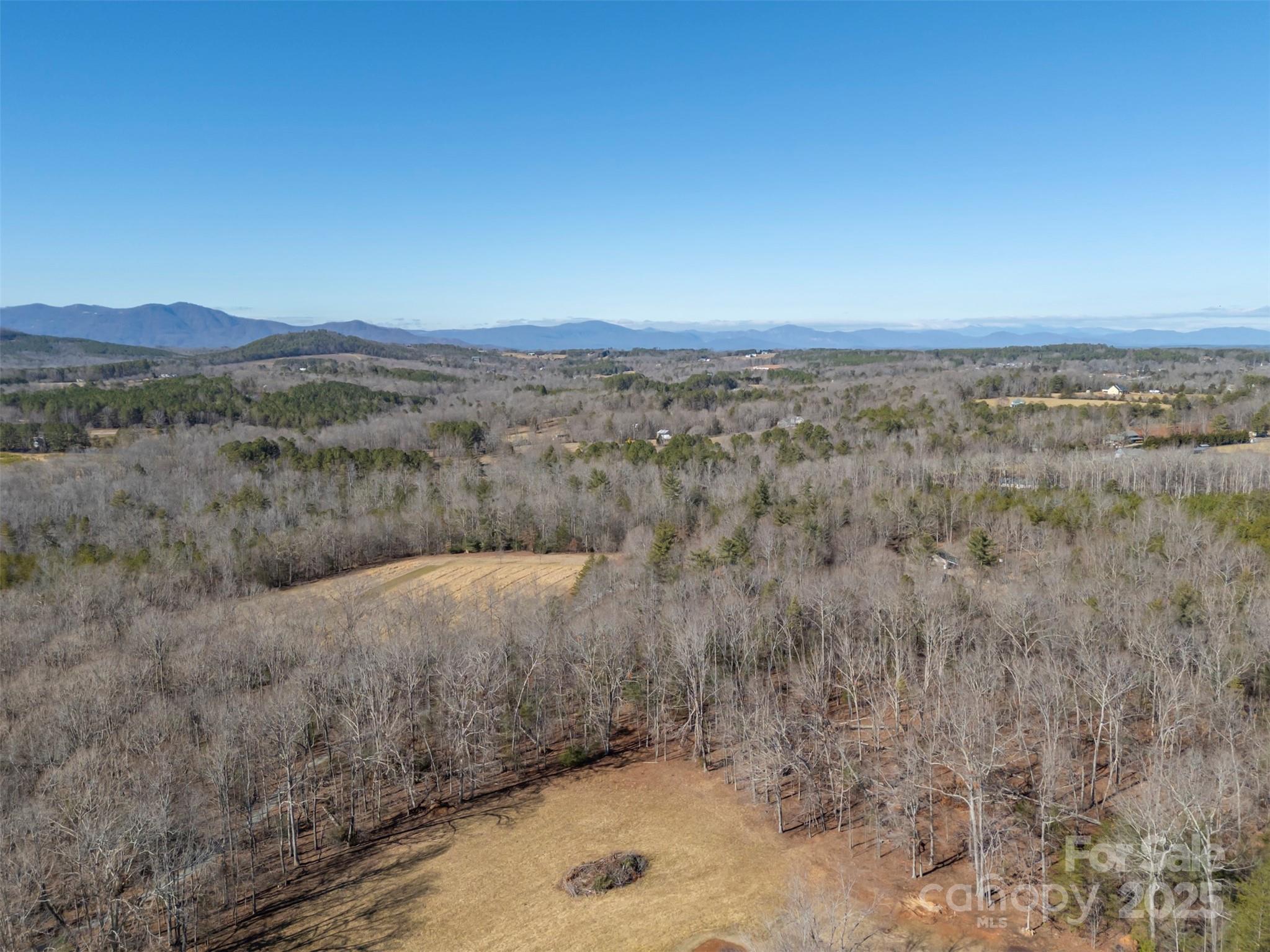 156 Eagle Nest Road Columbus, NC 28722 - Photo 44 of 47