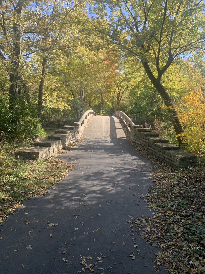 28W313 Batavia Road Warrenville, IL 60555 - Photo 48 of 49