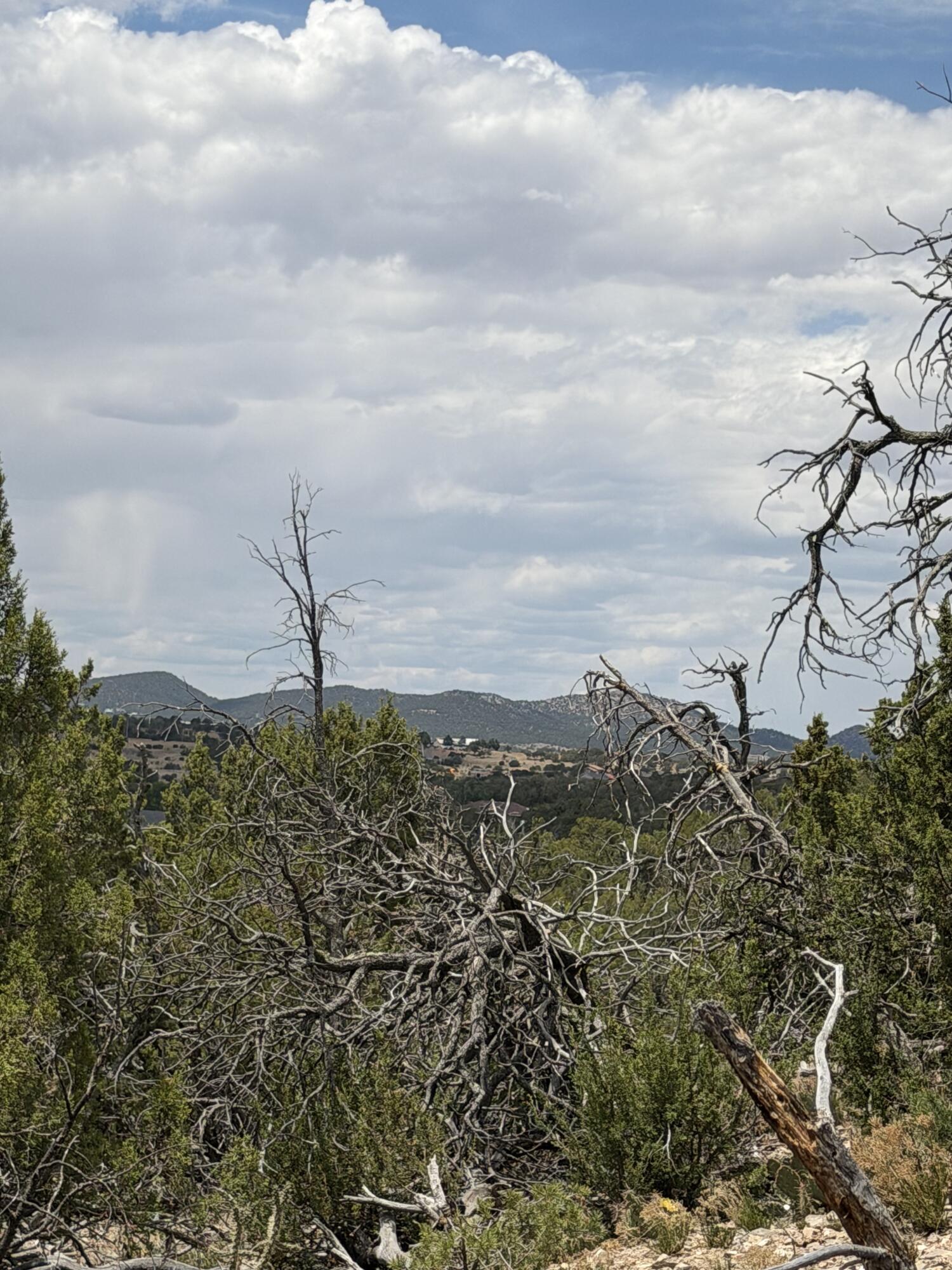 0 County Line Road Edgewood, NM 87015 - Photo 8 of 20 Gallery Image 8