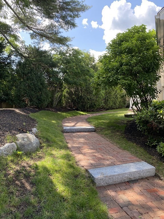 6 Essex Road, Unit 16 Ipswich, MA 01938 - Photo 3 of 14 a view of a yard with plants and a large tree