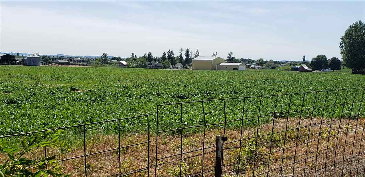 2521 West Johannsen Road Spokane, WA 99208 - Photo 7 of 12 Gallery Image 7