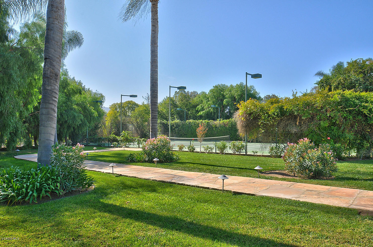 11186 Red Barn Road Camarillo, CA 93012 - Photo 37 of 41 a view of a park with a big yard and potted plants