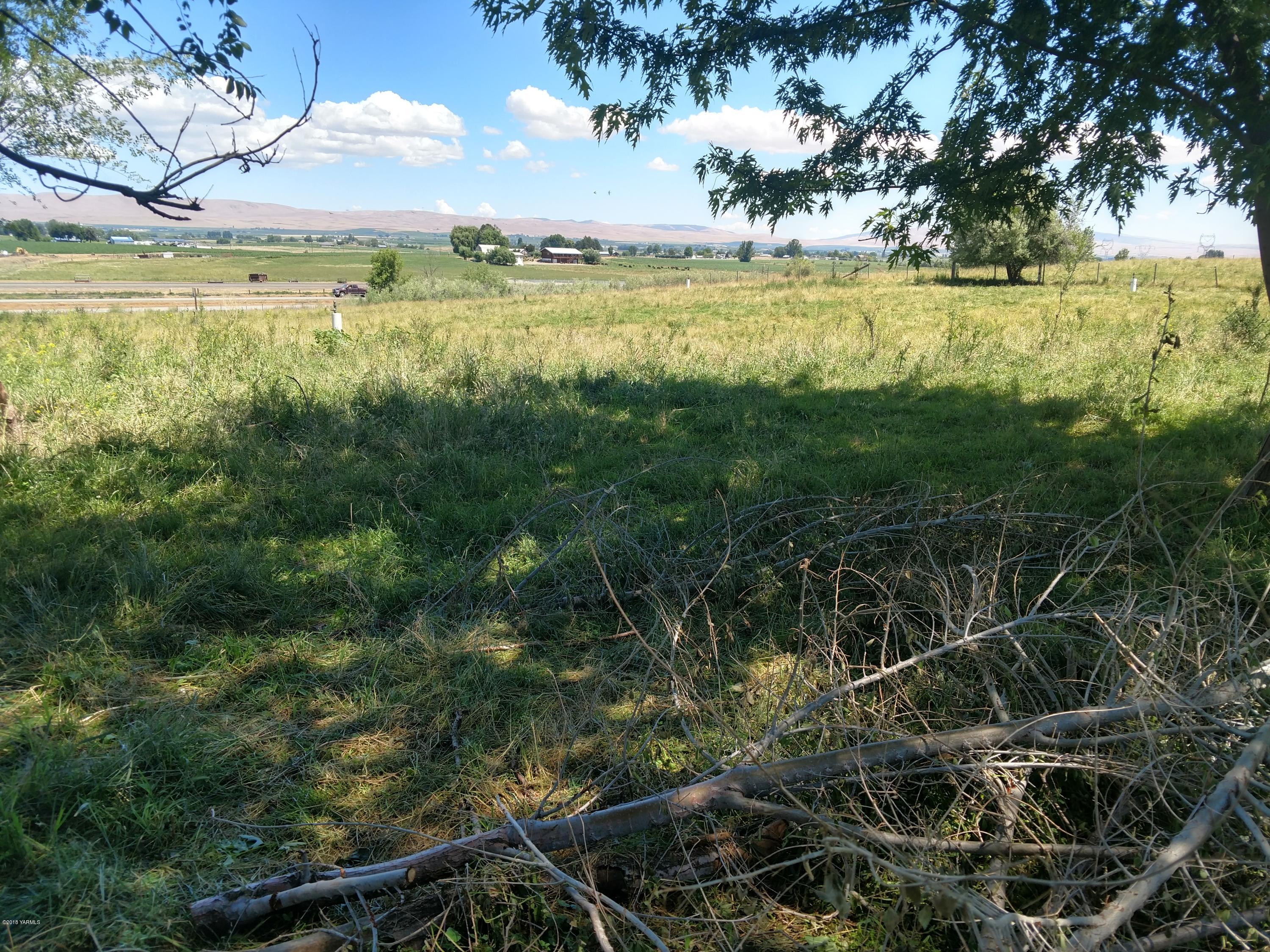 1101 Gap Road Granger, WA 98932 - Photo 6 of 24 a view of a yard with a large tree