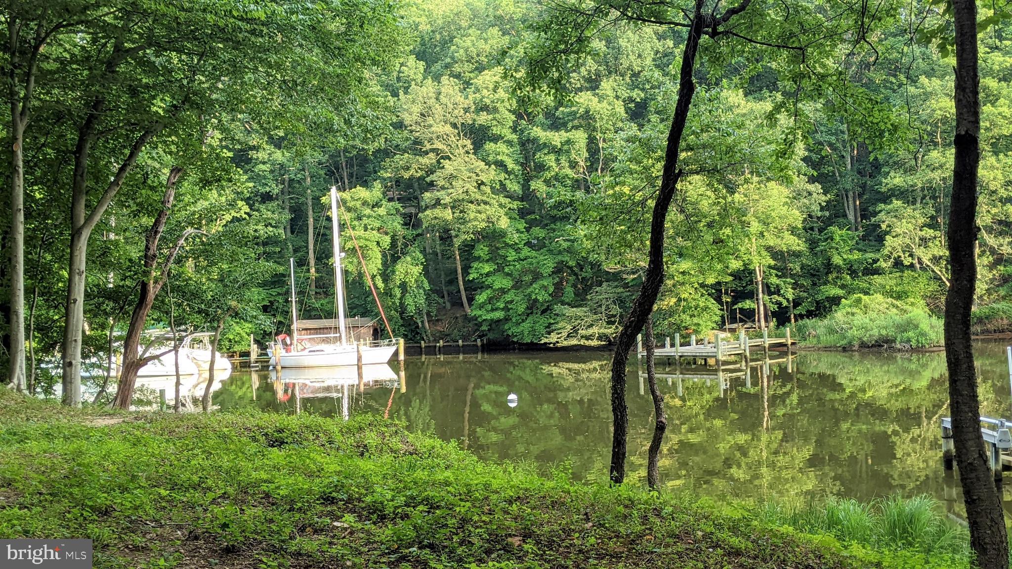 357 Forest Beach Road Annapolis, MD 21409 - Photo 38 of 91 a backyard of a house with lots of green space and fountain