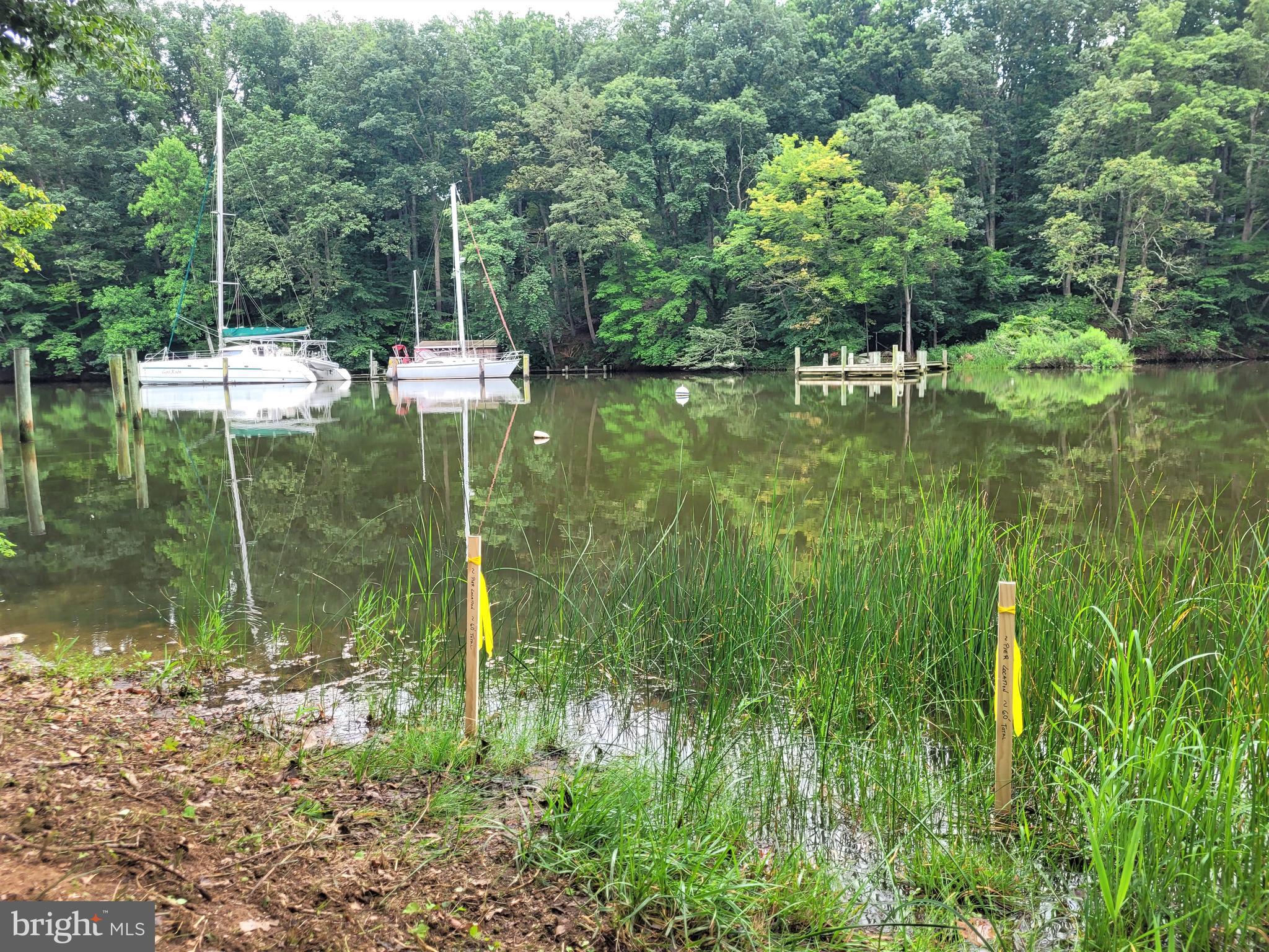 357 Forest Beach Road Annapolis, MD 21409 - Photo 54 of 91 a backyard of a house with lots of green space and fountain
