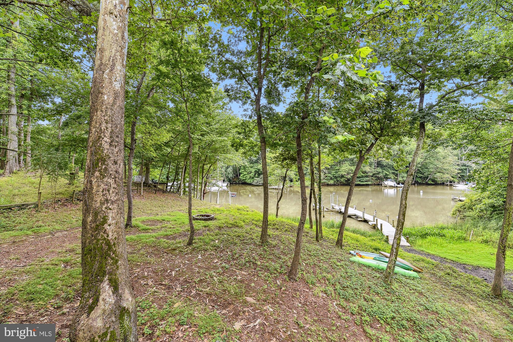 357 Forest Beach Road Annapolis, MD 21409 - Photo 65 of 91 back yard