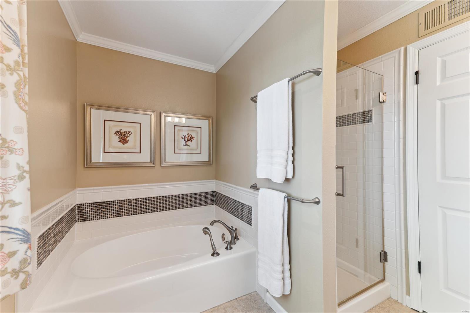 2156 Fairway Bend Chesterfield, MO 63017 - Photo 22 of 31