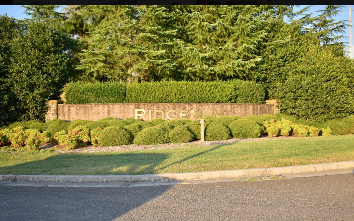 Lot 3 Ridgemont Drive Ellijay, GA 30536 - Photo 2 of 4 a view of a garden with a bench