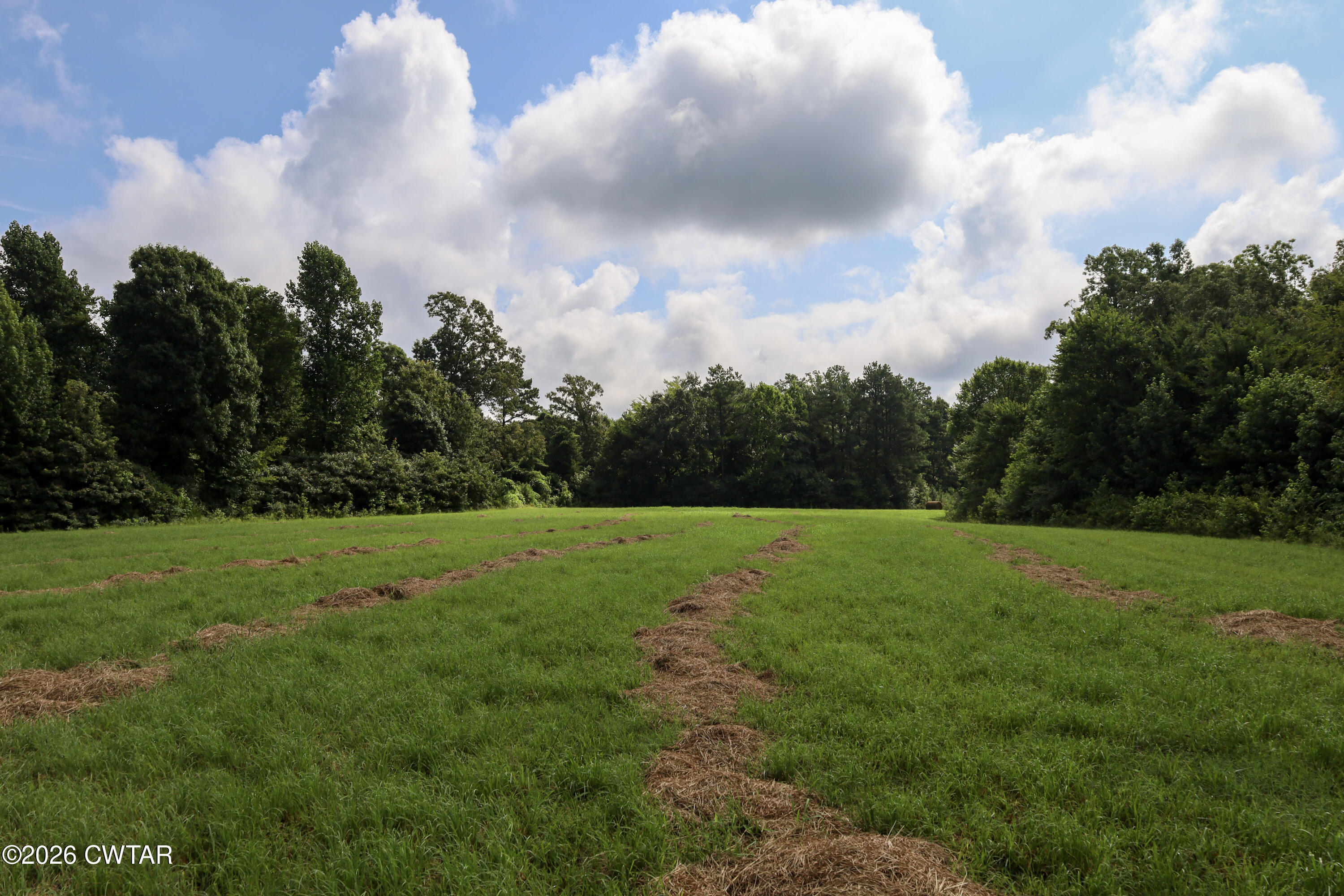 0 Mount Carmel Road Whiteville, TN 38075 - Photo 17 of 41 8-IMG_4756