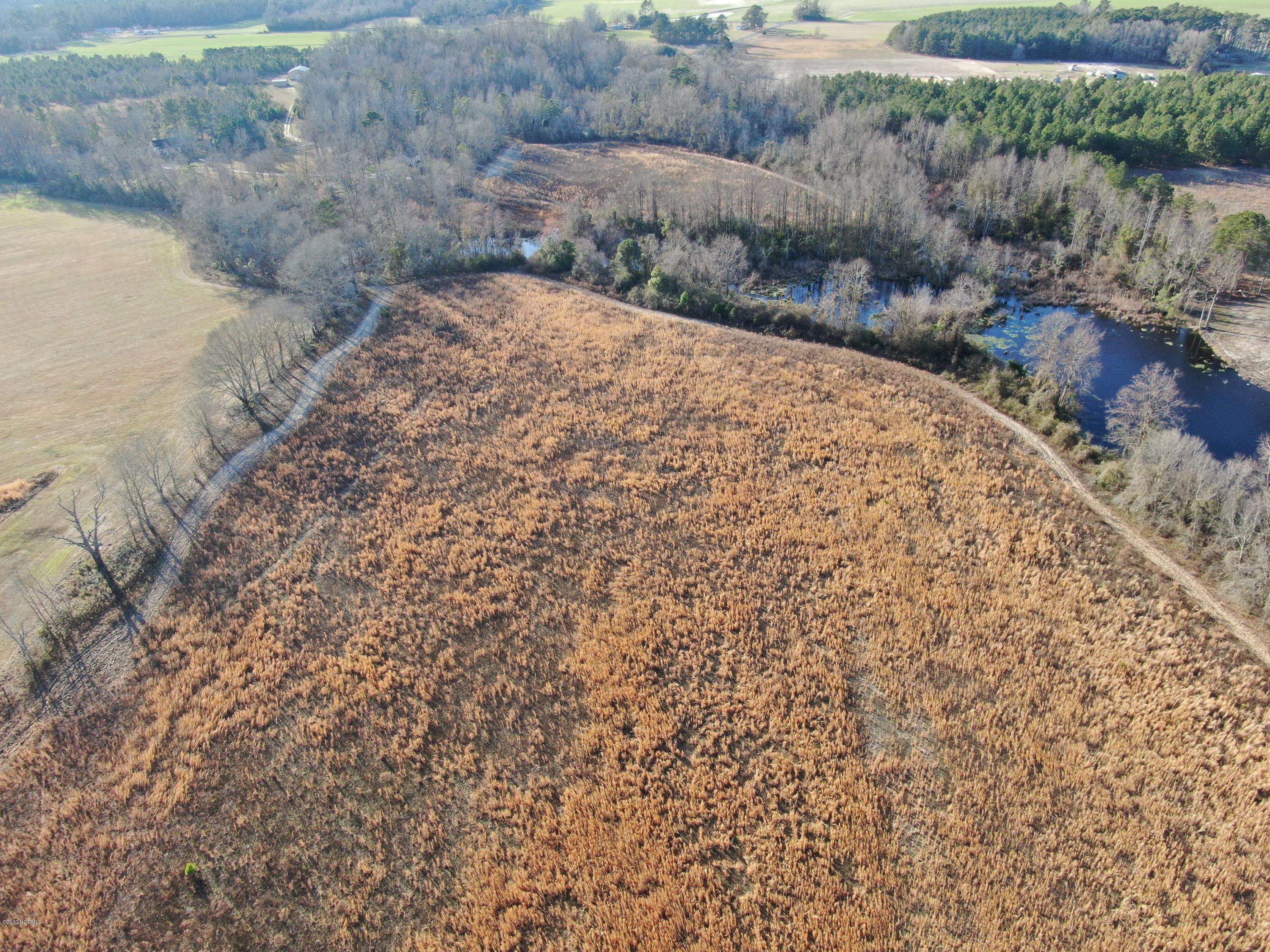 Tbd Tbd Grimsley Road Rowland, NC 28383 - Photo 3 of 12 DJI_0395