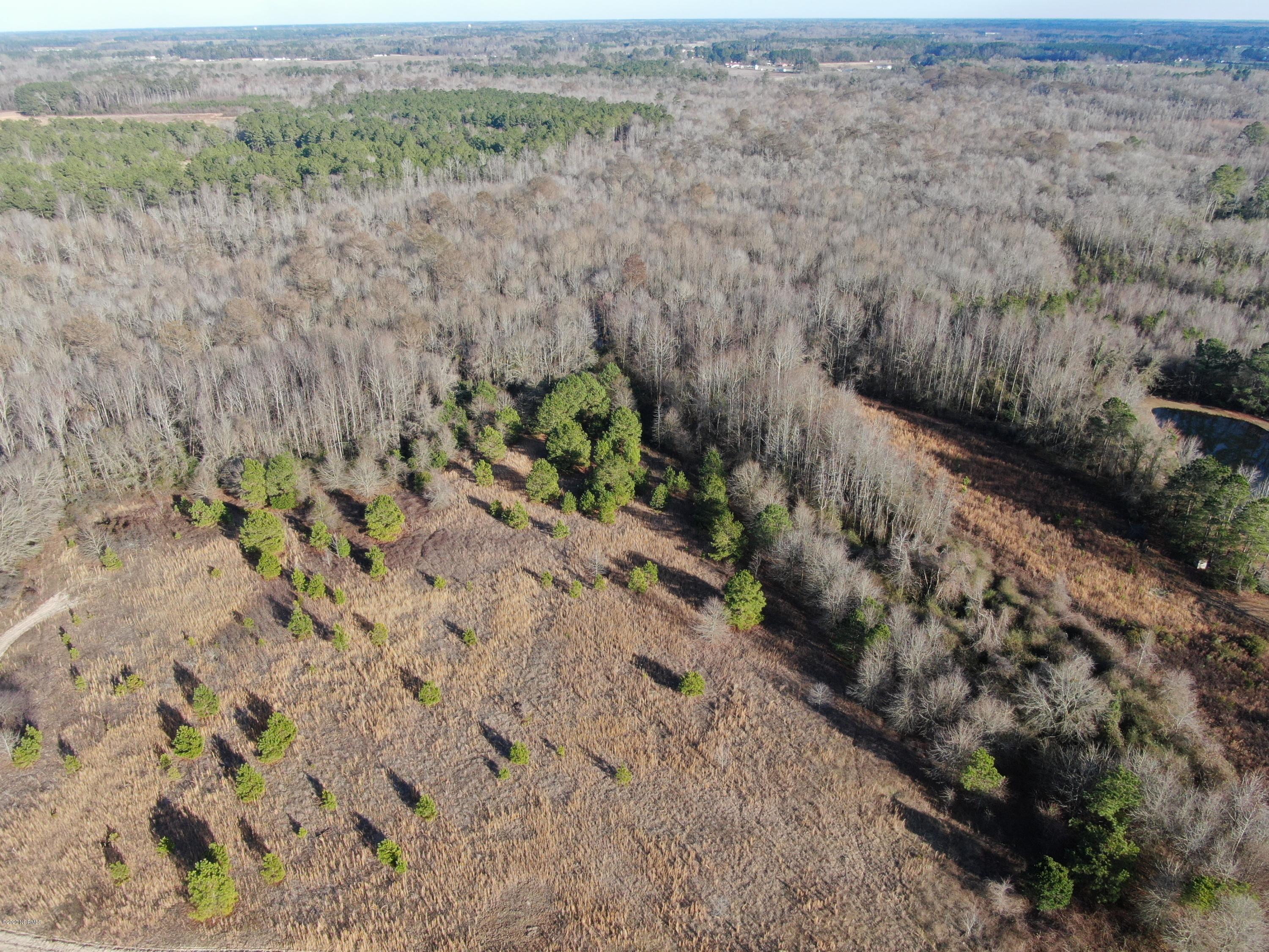 Tbd Tbd Grimsley Road Rowland, NC 28383 - Photo 4 of 12 DJI_0396