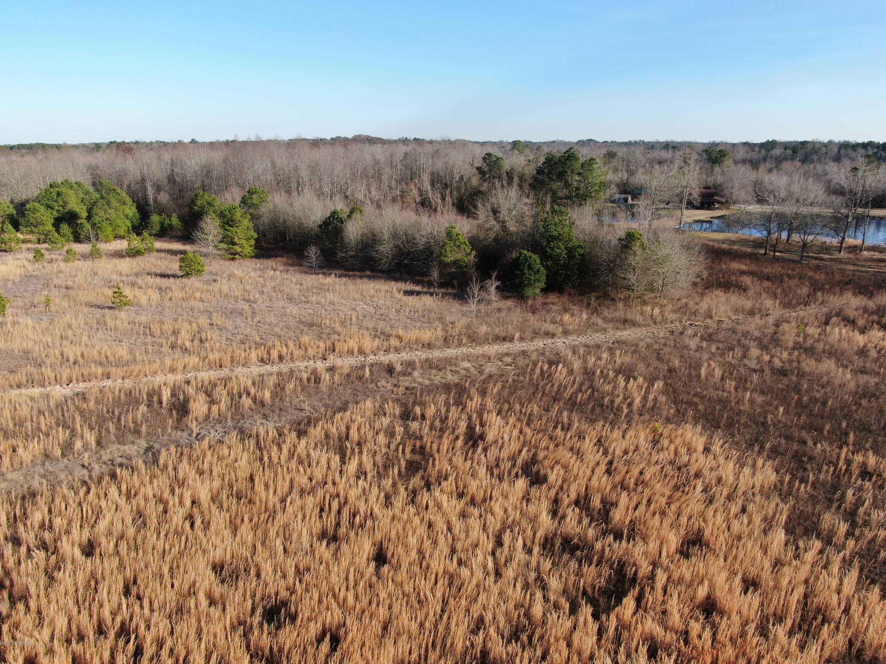 Tbd Tbd Grimsley Road Rowland, NC 28383 - Photo 5 of 12 DJI_0398