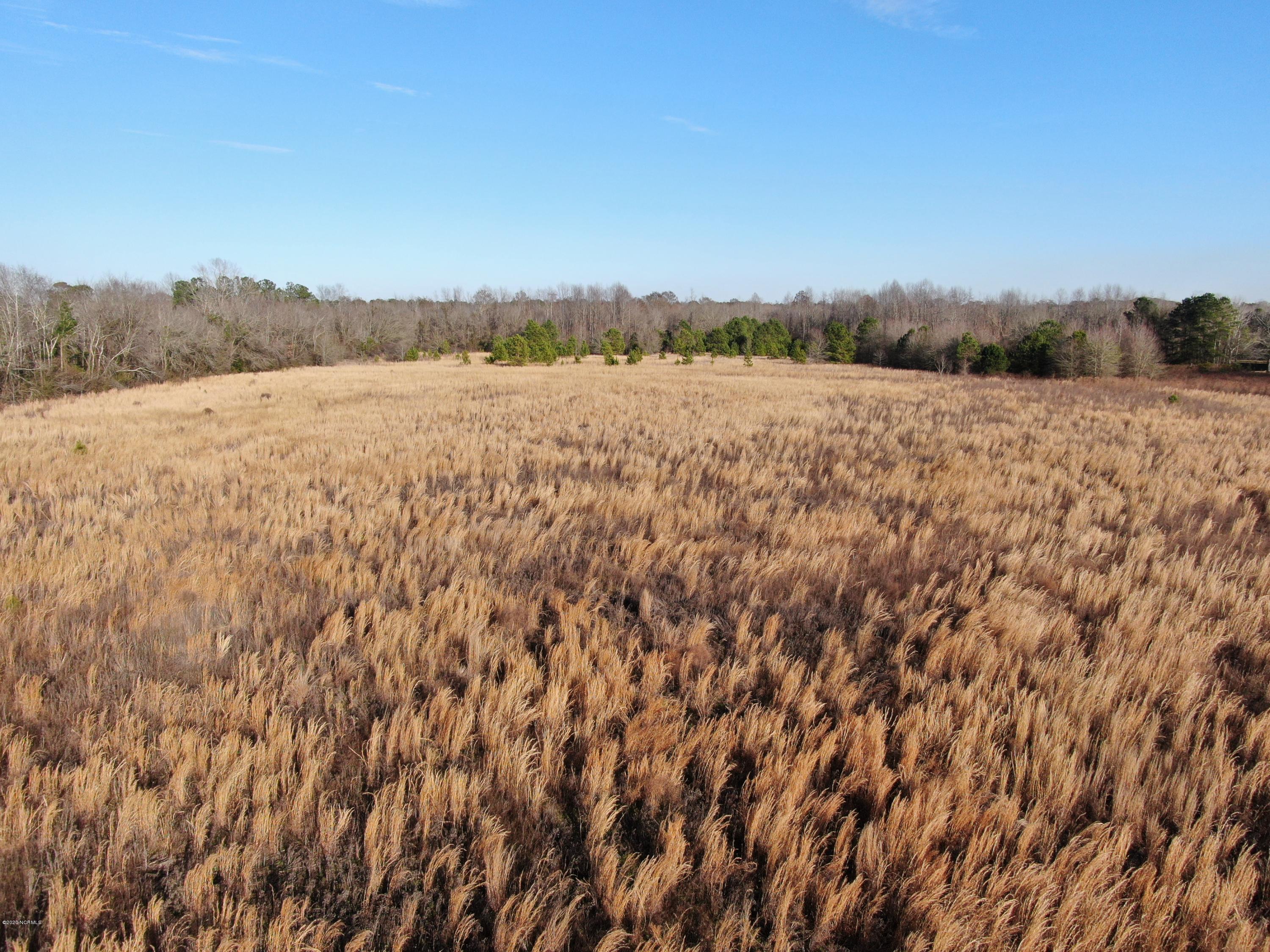 Tbd Tbd Grimsley Road Rowland, NC 28383 - Photo 6 of 12 DJI_0402