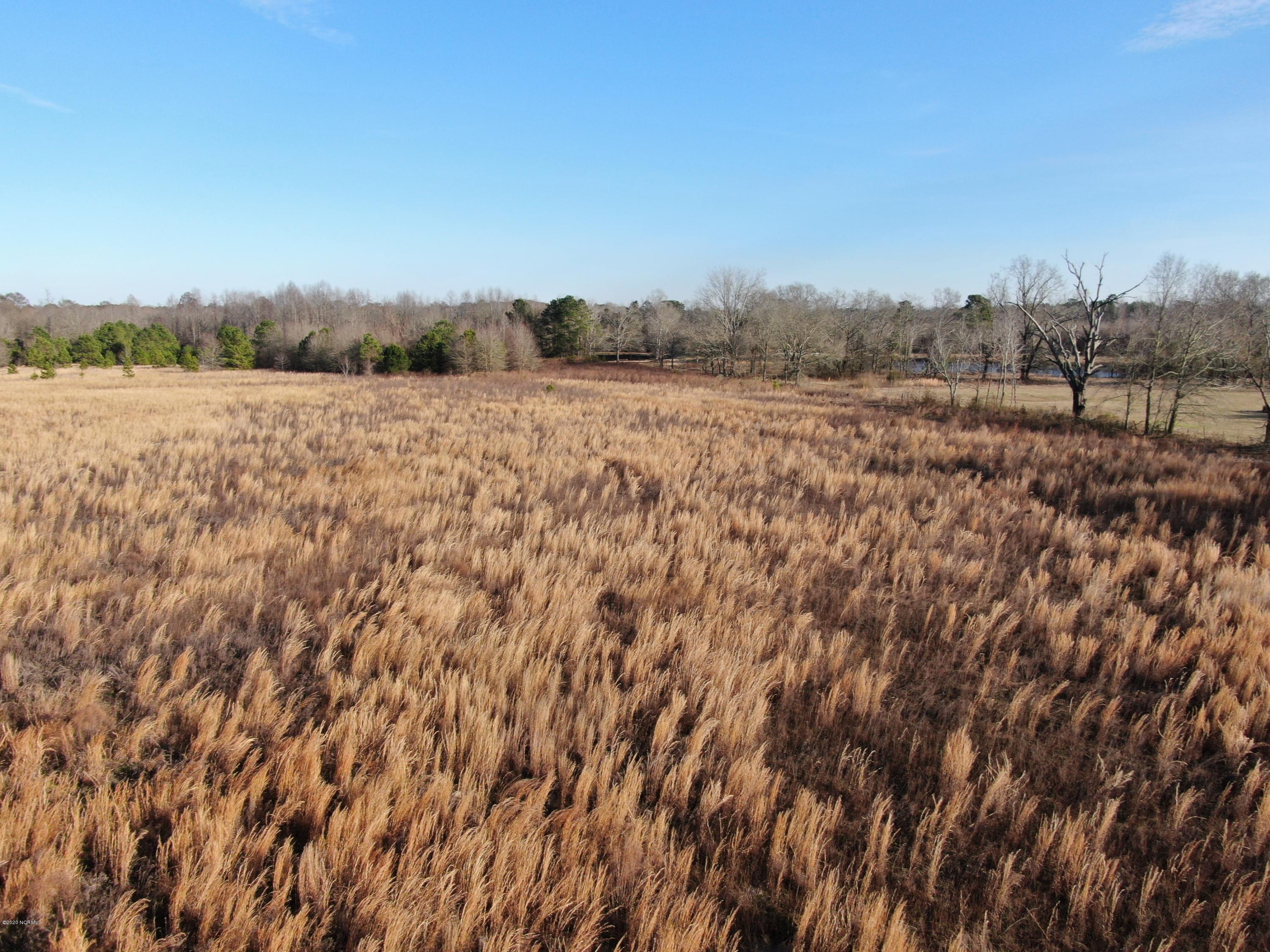 Tbd Tbd Grimsley Road Rowland, NC 28383 - Photo 7 of 12 DJI_0403