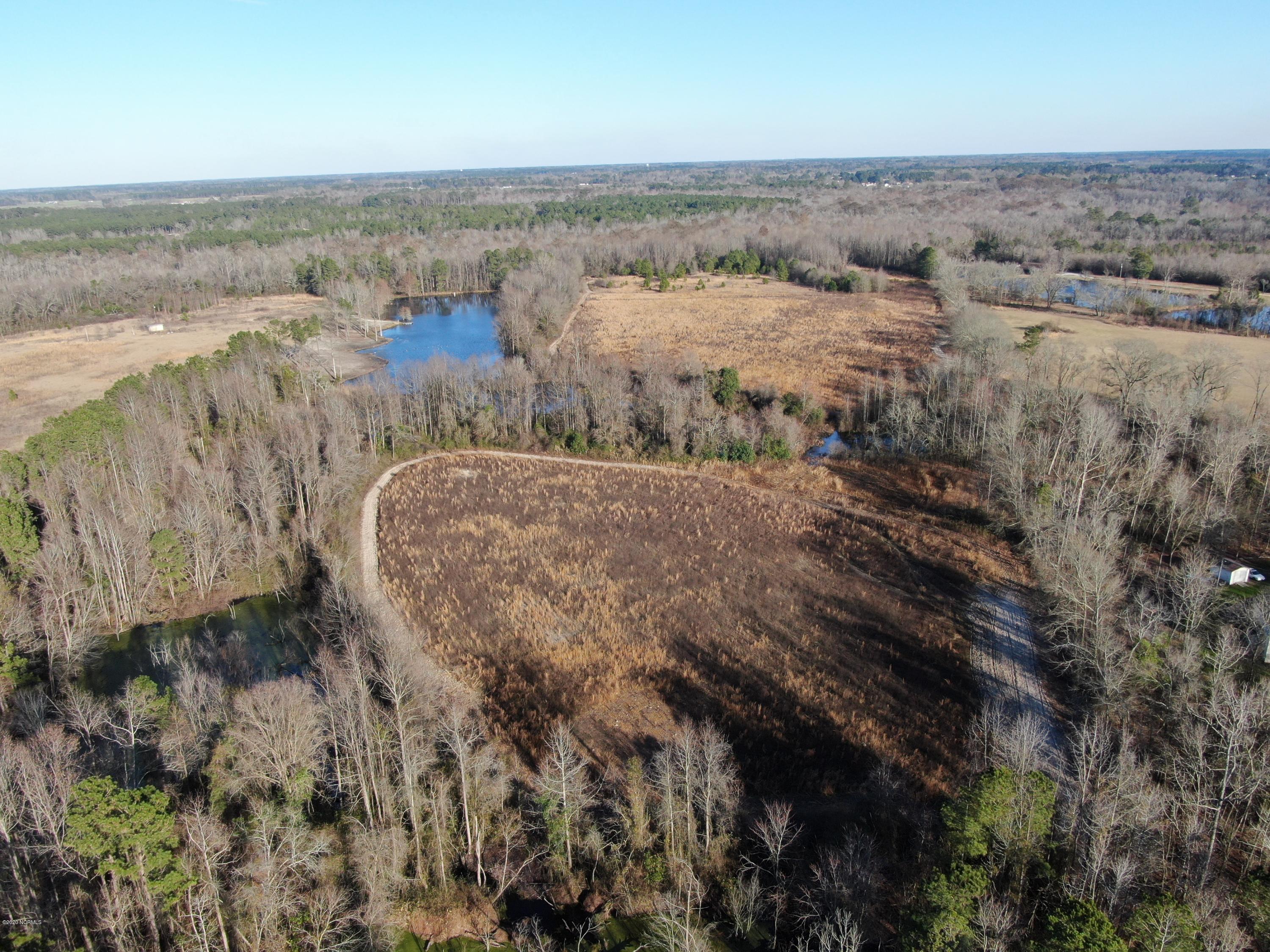 Tbd Tbd Grimsley Road Rowland, NC 28383 - Photo 10 of 12 DJI_0410