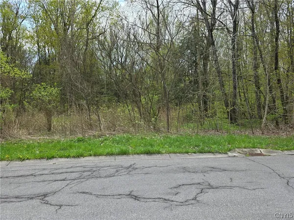 $50,000 | 106 Benedict Manor Drive, Sullivan, NY 13082