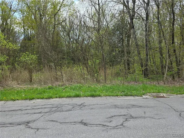 $50,000 | 106 Benedict Manor Drive, Sullivan, NY 13082