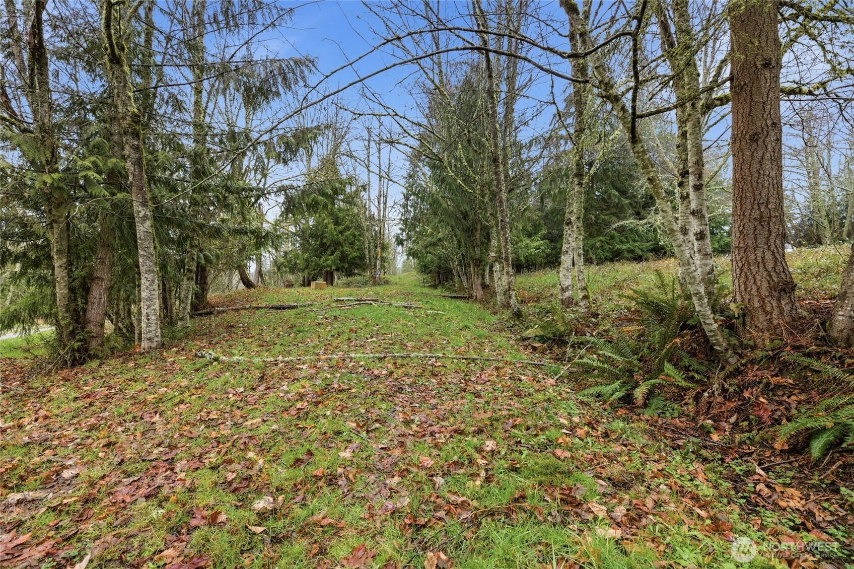 a big yard with lots of green space and plants