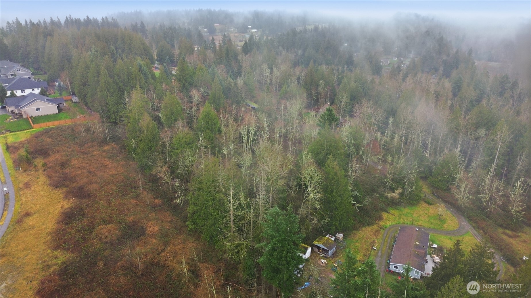 0 Wesner Street Buckley, WA 98321 - Photo 13 of 17 a view of a forest