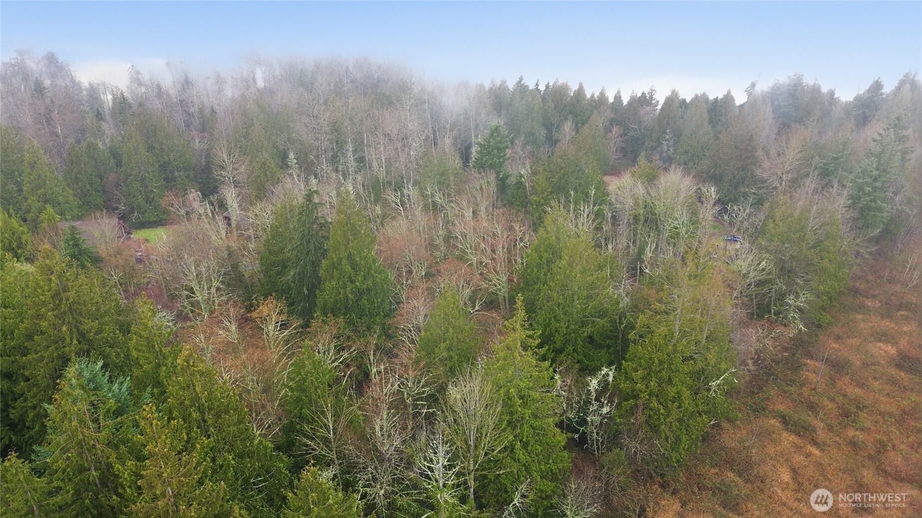 0 Wesner Street Buckley, WA 98321 - Photo 14 of 17 a view of a yard and trees in the background