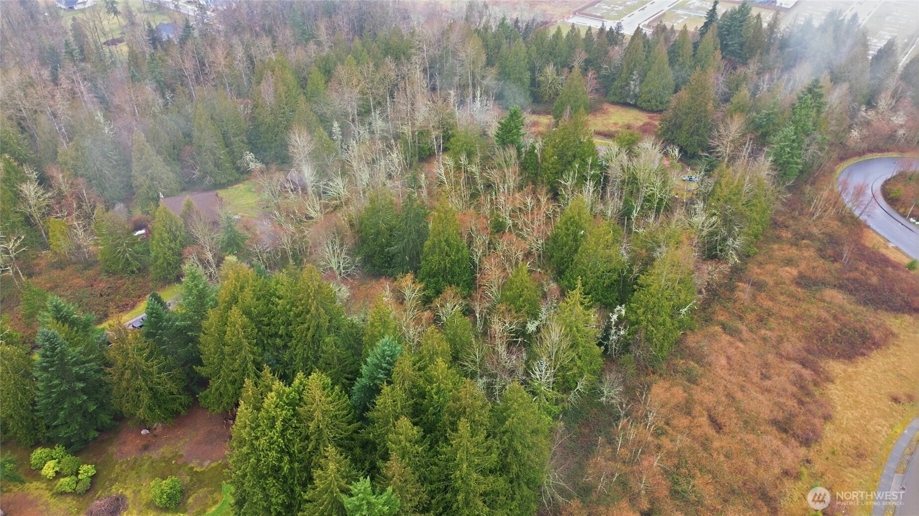 0 Wesner Street Buckley, WA 98321 - Photo 16 of 17 a view of a garden