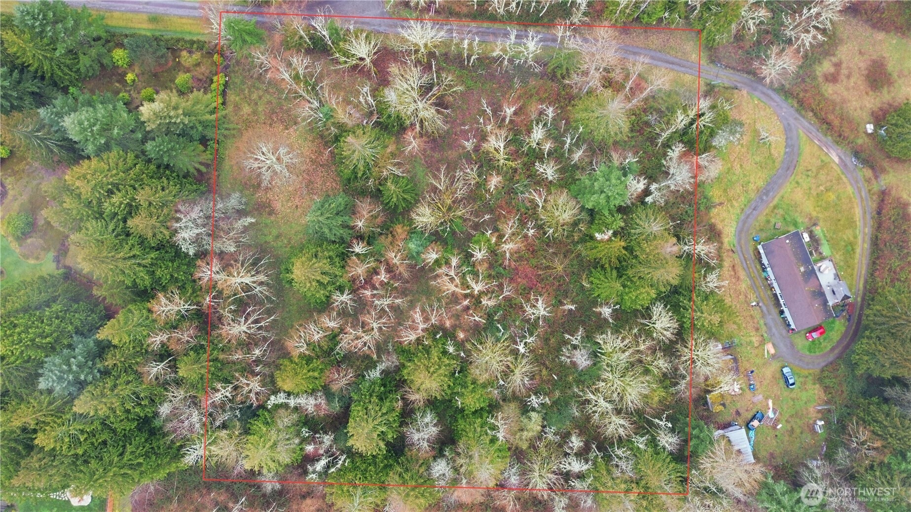 0 Wesner Street Buckley, WA 98321 - Photo 2 of 17