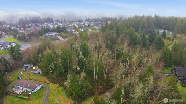 a big yard with lots of green space and trees
