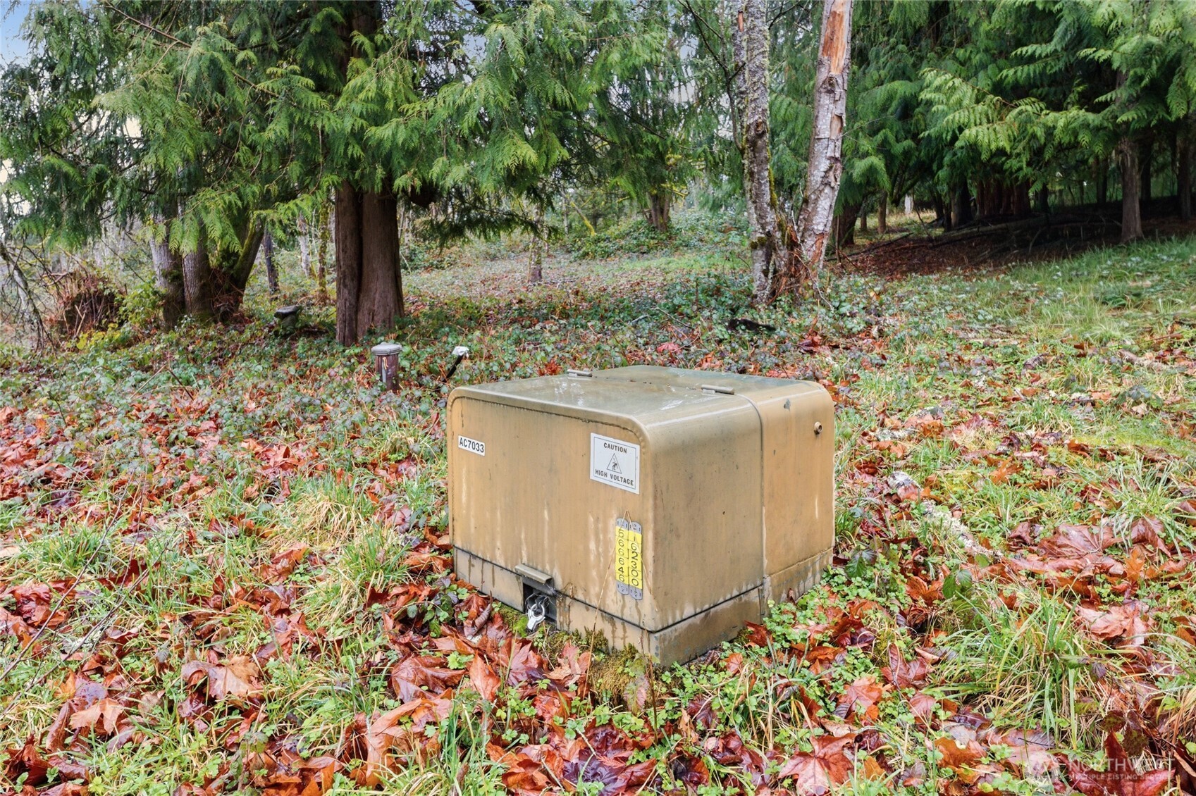 0 Wesner Street Buckley, WA 98321 - Photo 7 of 17 a utility room with a tree