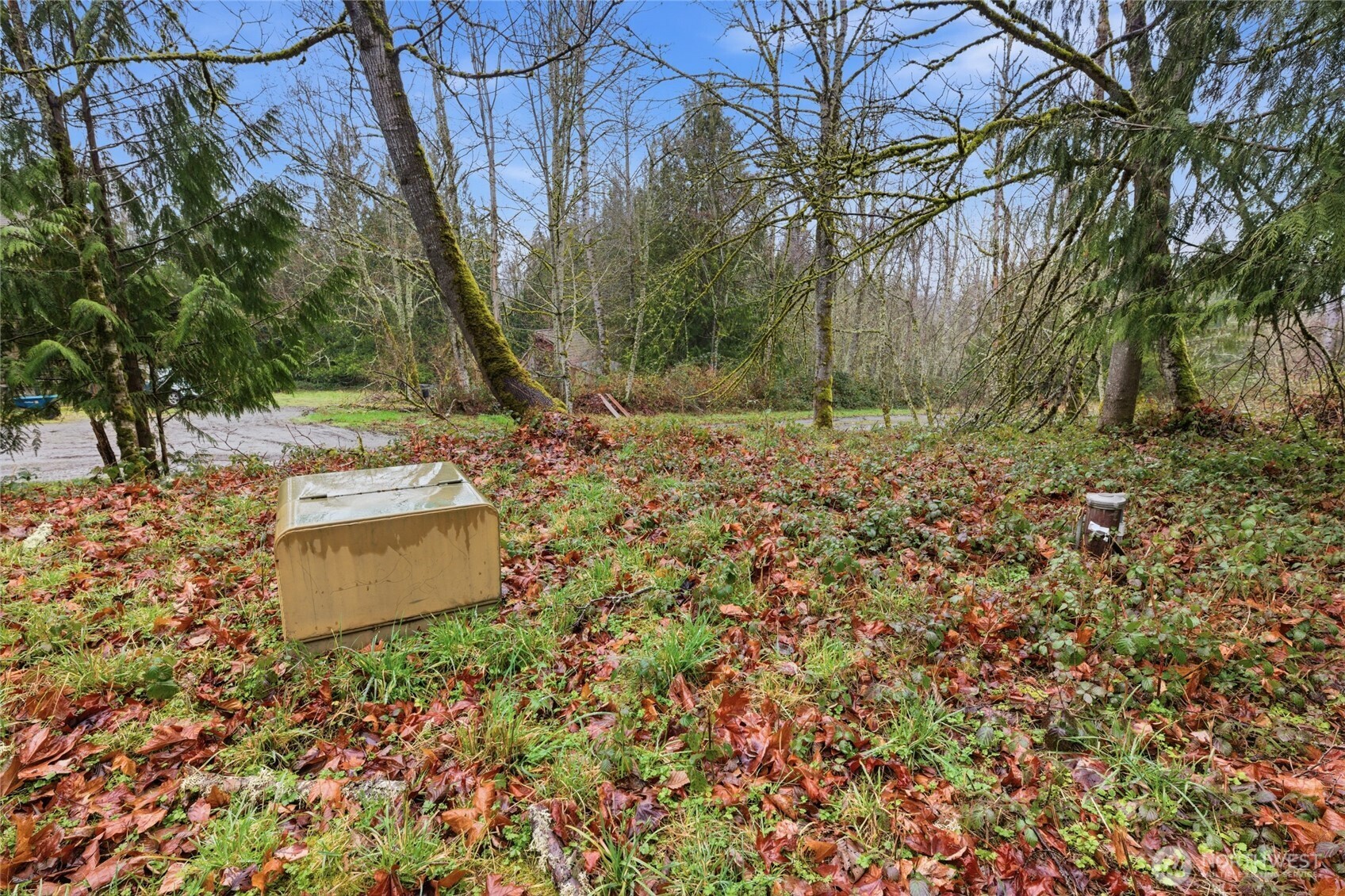 0 Wesner Street Buckley, WA 98321 - Photo 8 of 17 a view of a yard with trees