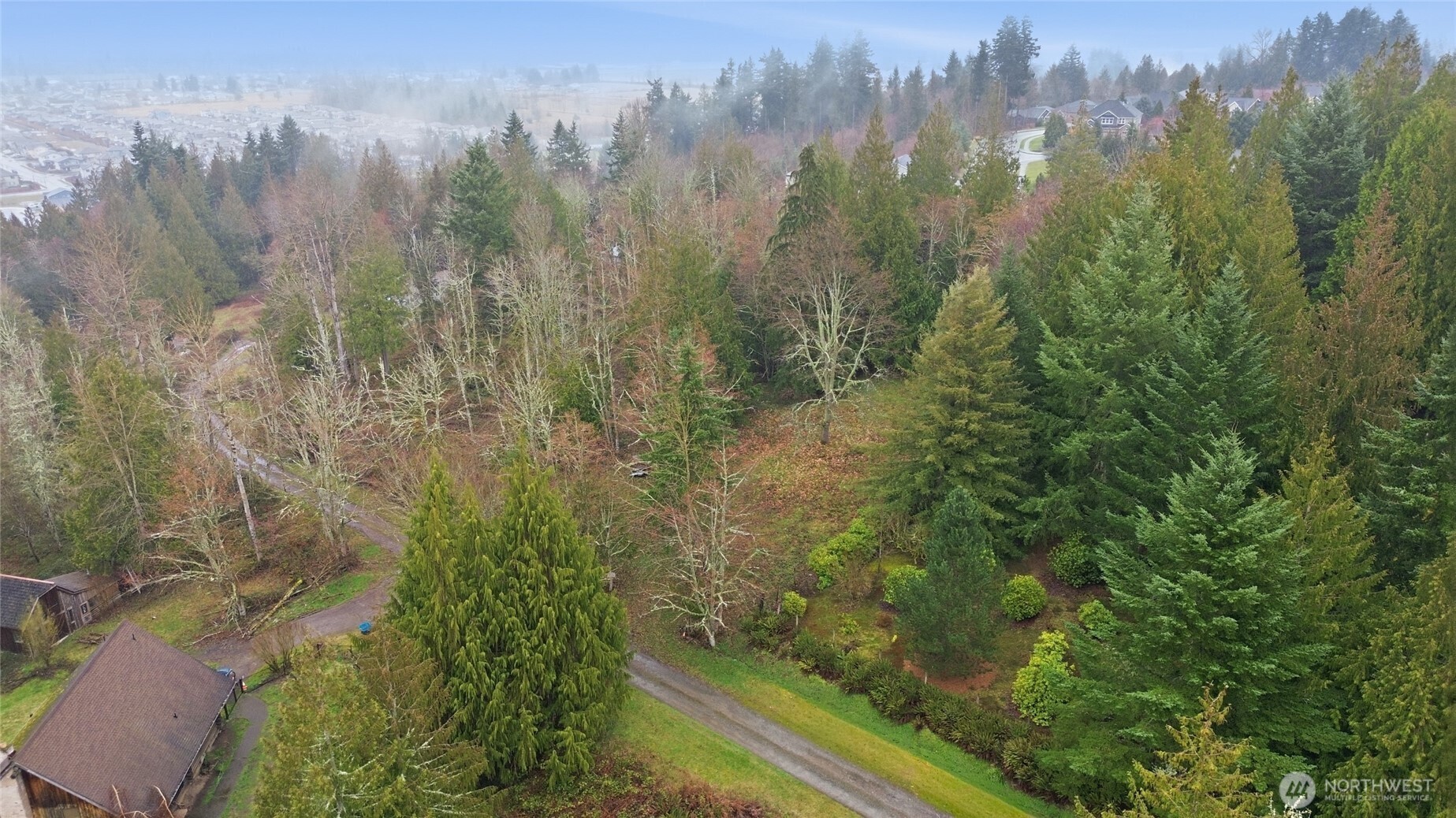 0 Wesner Street Buckley, WA 98321 - Photo 9 of 17 a view of a forest with a street