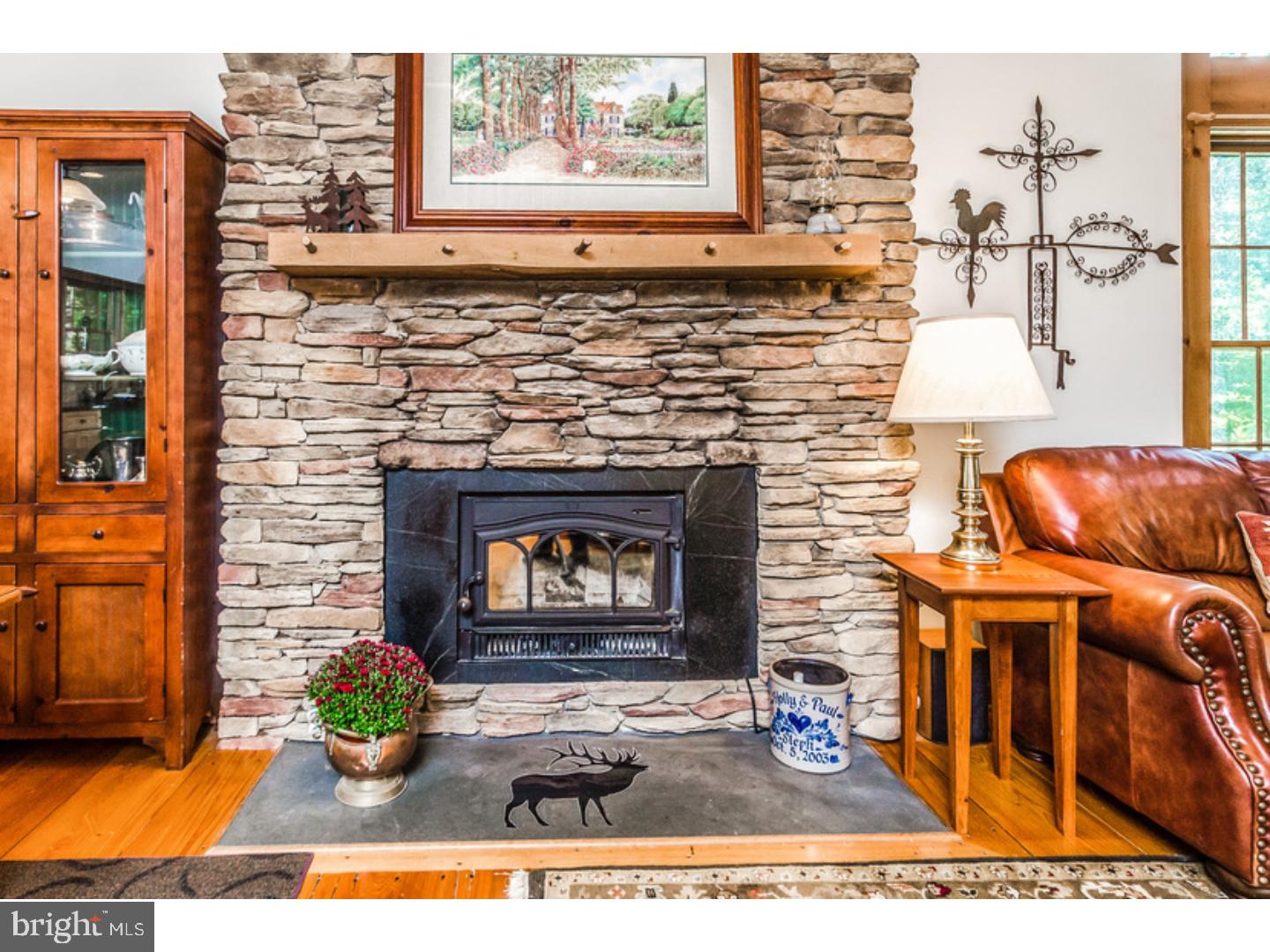 60 Pine Hill Road Stockton, NJ 08559 - Photo 4 of 20 Fireplace