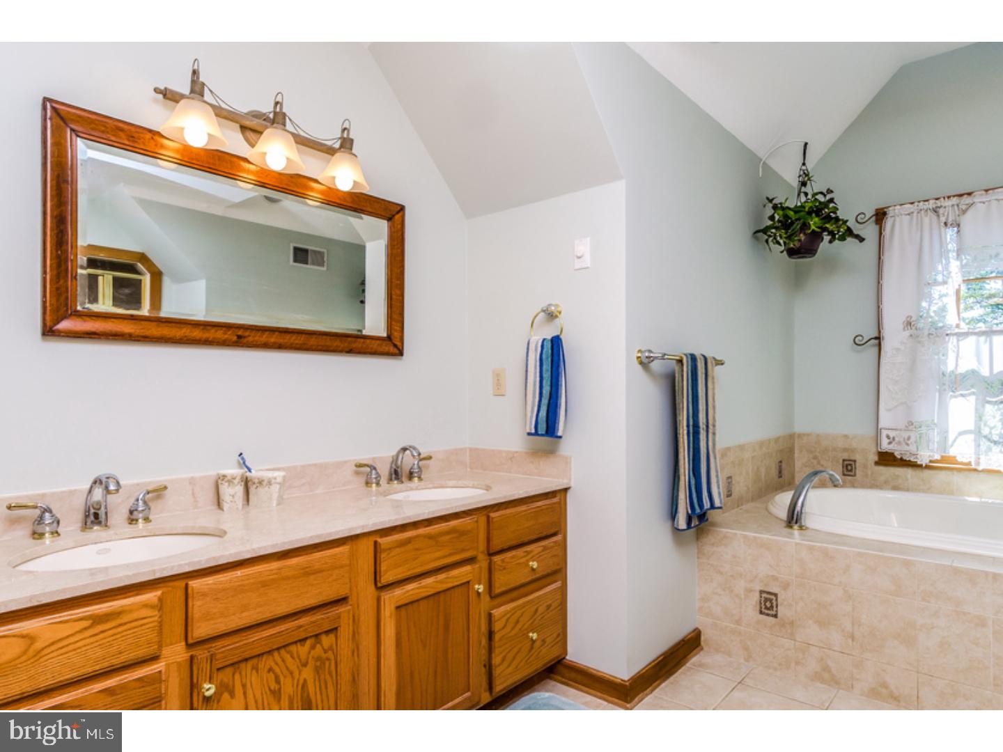 60 Pine Hill Road Stockton, NJ 08559 - Photo 10 of 20 Master Bathroom