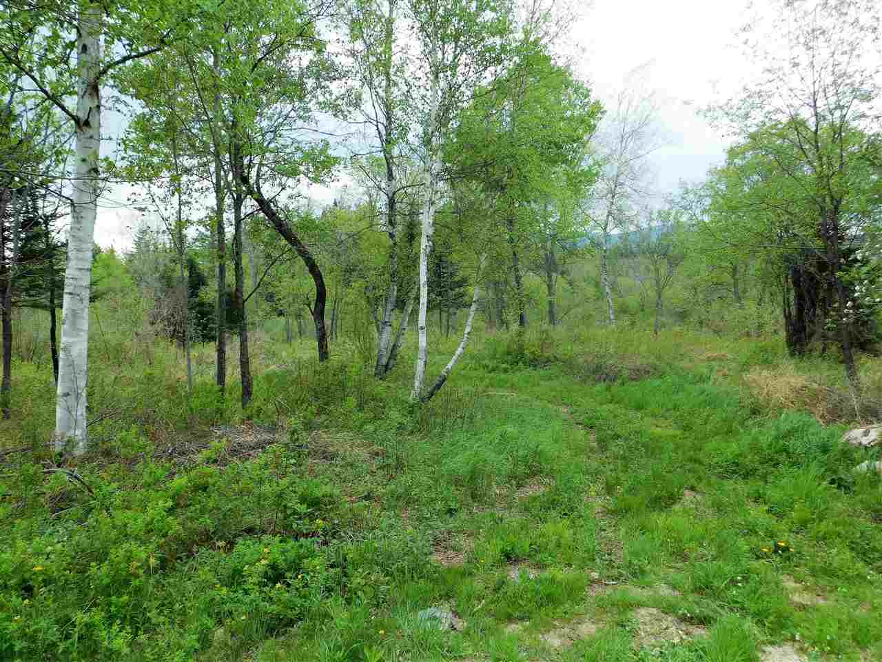 53 F Paris Road Stark, NH 03582 - Photo 2 of 4