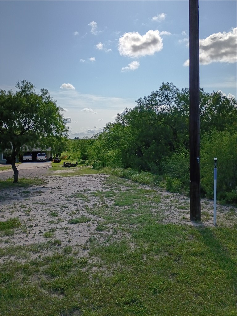 108 Swinney Switch Mathis, TX 78368 - Photo 8 of 10 a view of outdoor space with garden view