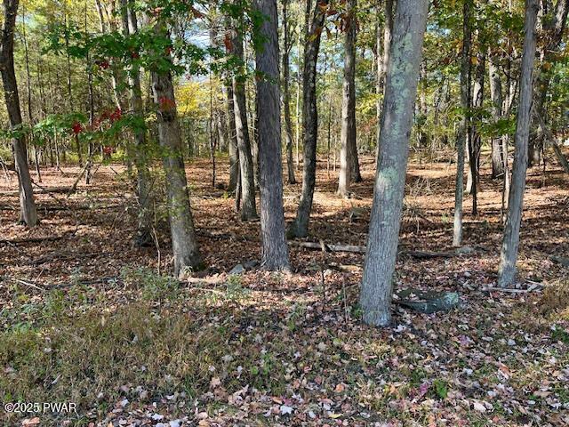 Lot 3 Aspen Road Dingmans Ferry, PA 18328 - Photo 2 of 10
