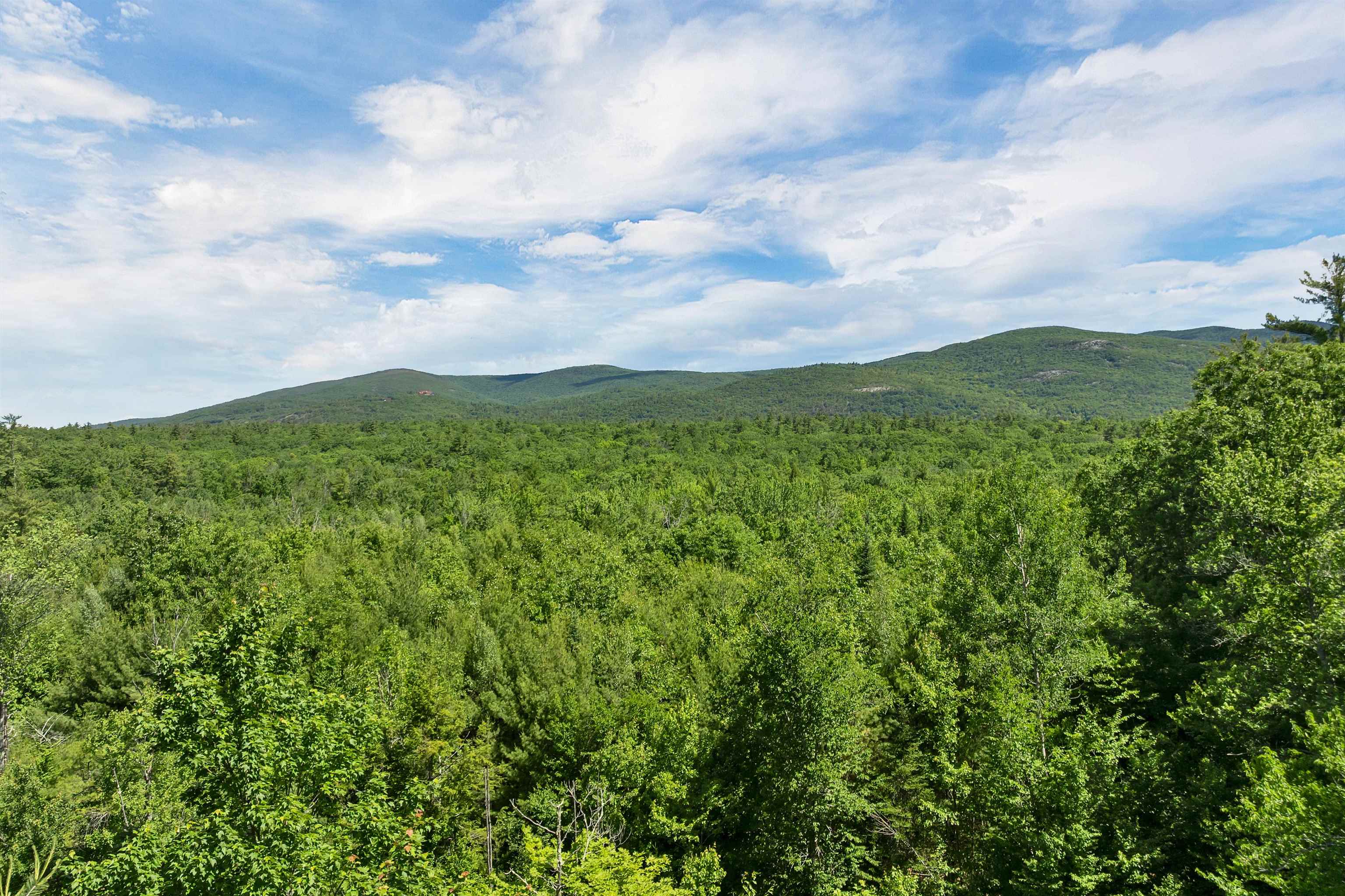 0 Beaver Pond Road Moultonborough, NH 03254 - Photo 24 of 46