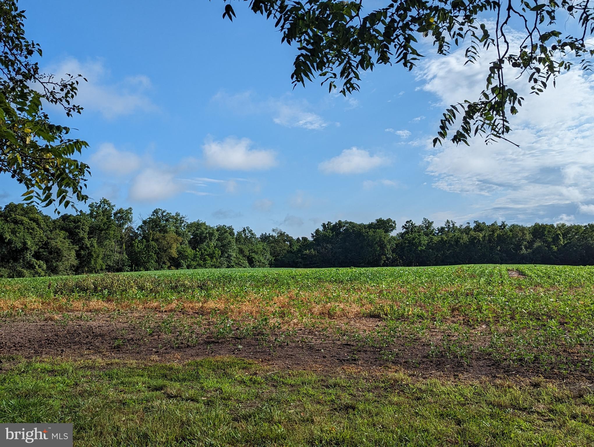 0 Swift Run Road Gettysburg, PA 17325 - Photo 11 of 11