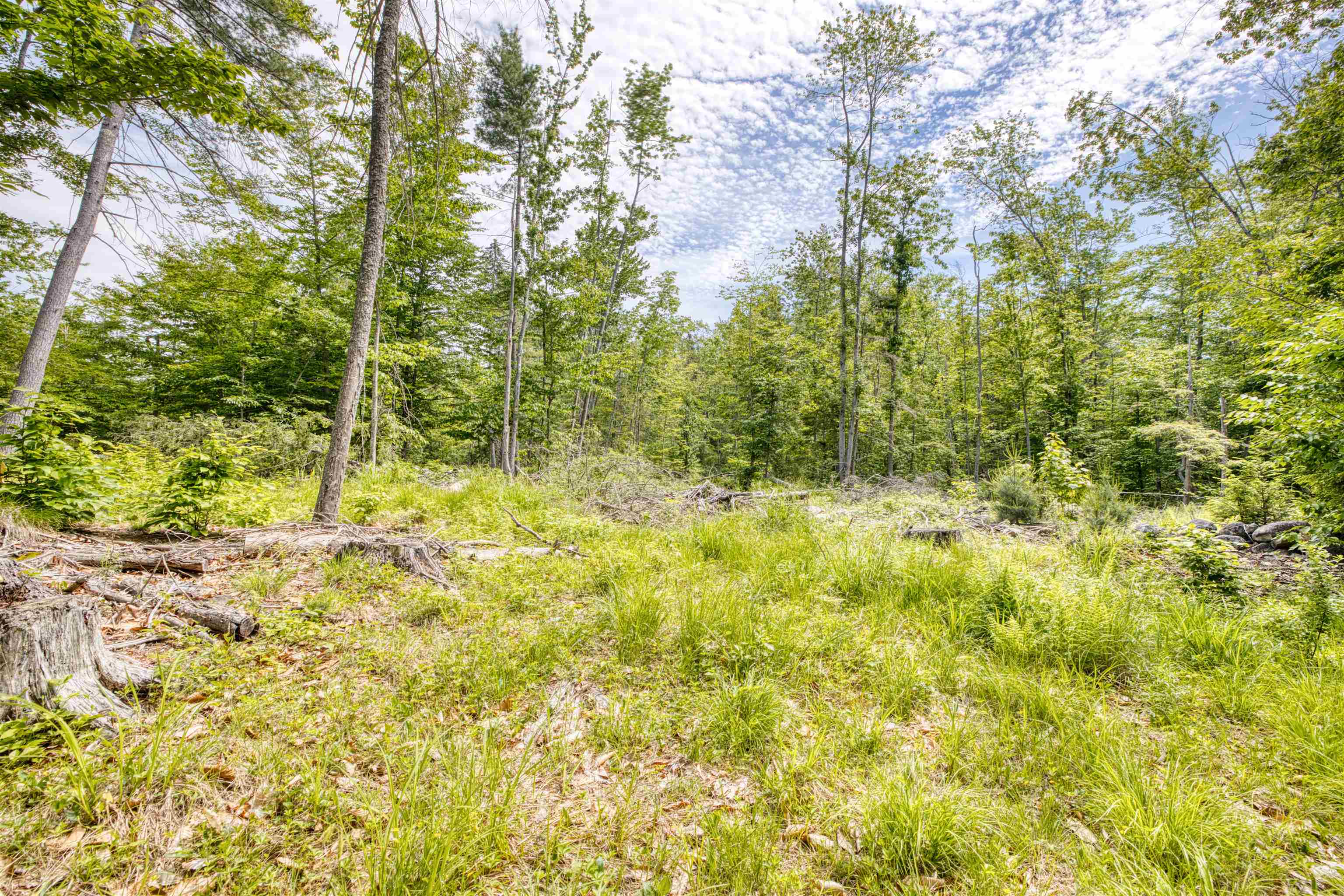 160 Browns Ridge Road Ossipee, NH 03864 - Photo 55 of 59