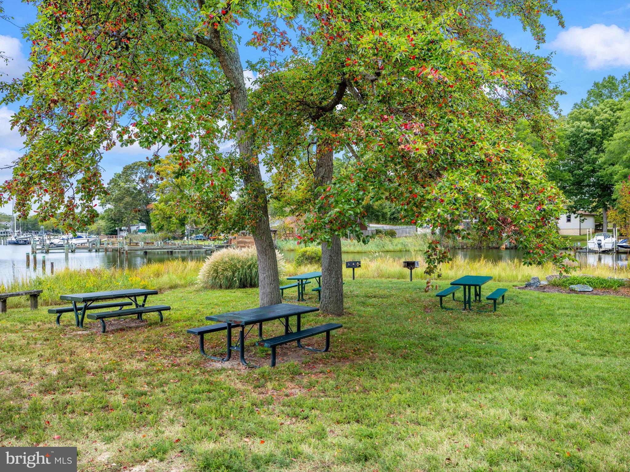 1616 Knoxville Road Edgewater, MD 21037 - Photo 44 of 54 Have a picnic