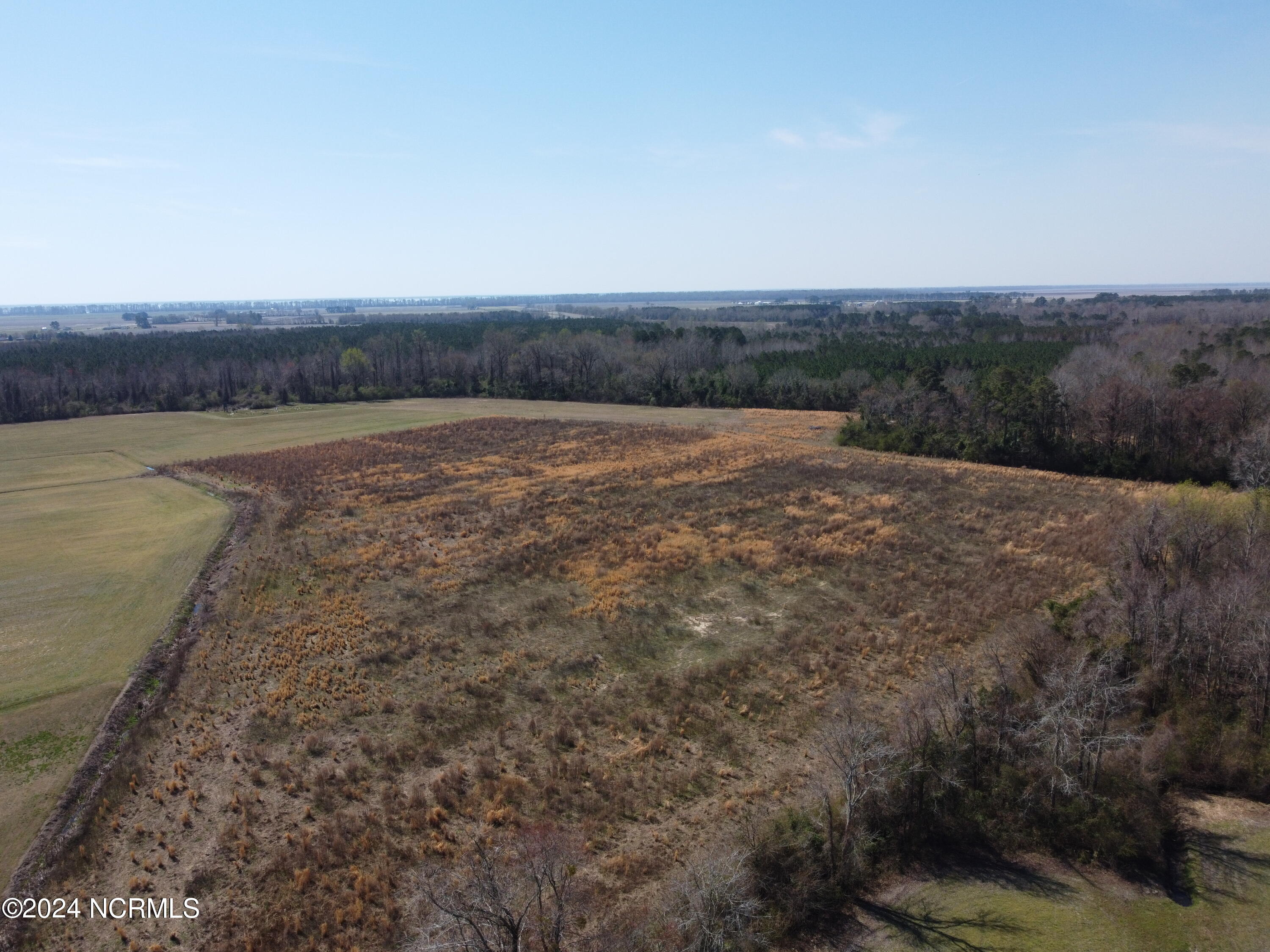 0 Spruill Town Road Creswell, NC 27928 - Photo 3 of 17 DJI_0618