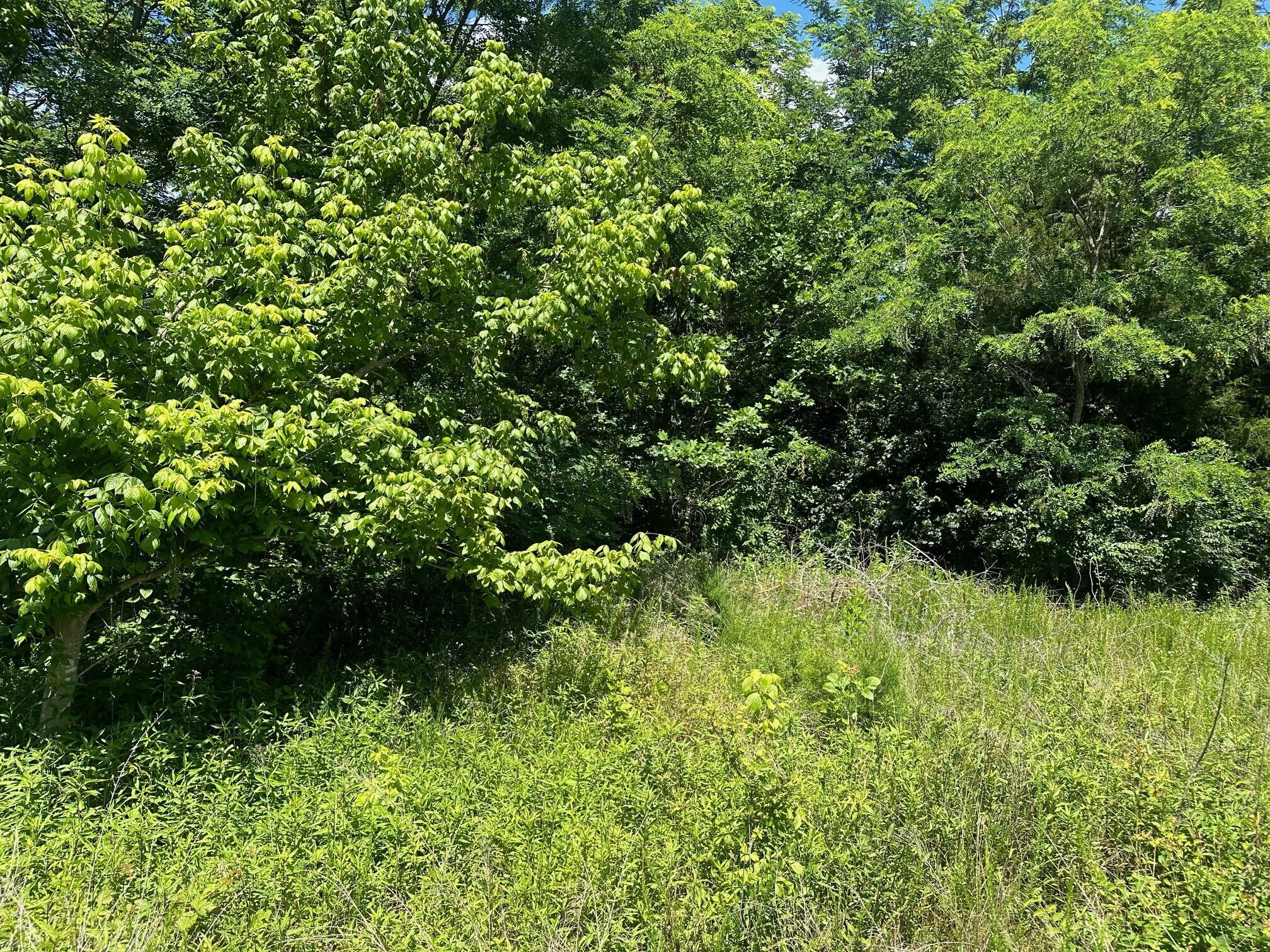 Lot 172 Sulee Circle, Unit 172 Guild, TN 37340 - Photo 3 of 6 2